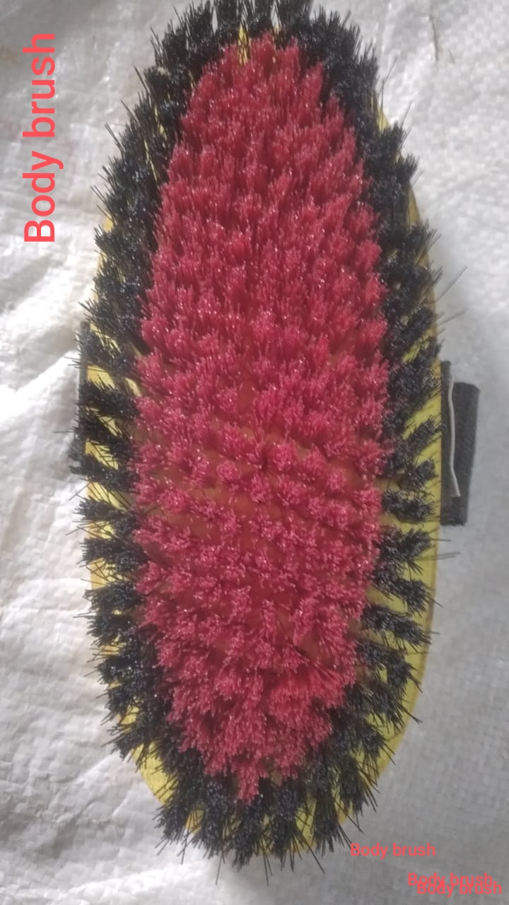 Body Brush